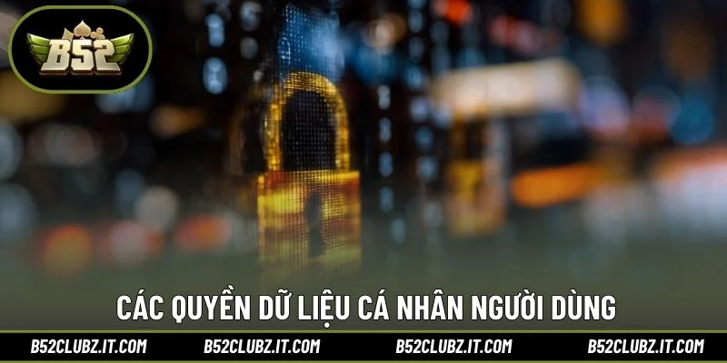 Các quyền dữ liệu cá nhân người dùng